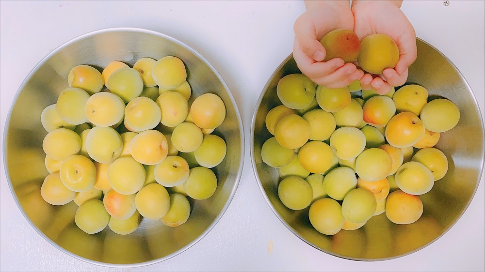 まろやかで甘い香りの梅シロップの作り方 黄色がかった梅使用 ゆるくパパ Yuruku Papa 暮らしと子どもとアートのブログ